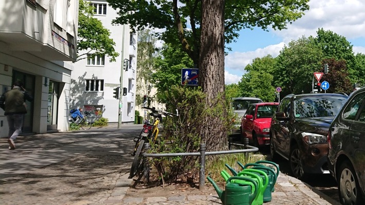 ++ Ökotipp | Baumscheiben bepflanzen: Je wilder desto besser| BUND "Baum-Woche" ++
