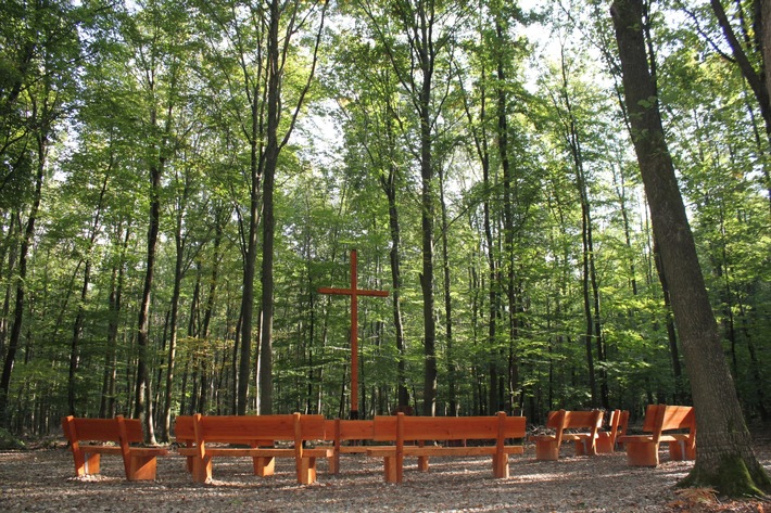 FriedWald Meroder Wald wird ein Jahr