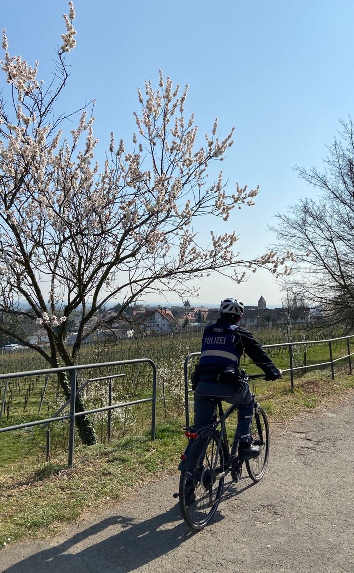 POL-PDNW: Mandelblüte Gimmeldingen