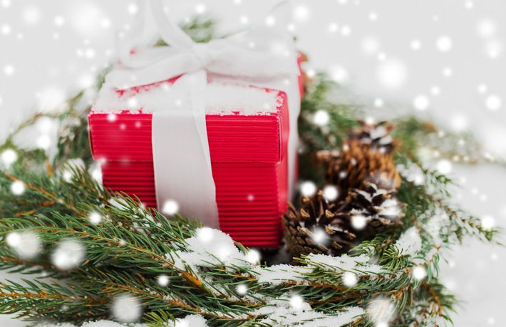 Energiesparende Geschenke unter dem Weihnachtsbaum