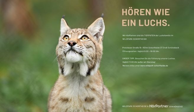 Hören wie ein Luchs: HörPartner übernehmen Patenschaft für Luchs-Familie im Wildpark Schorfheide