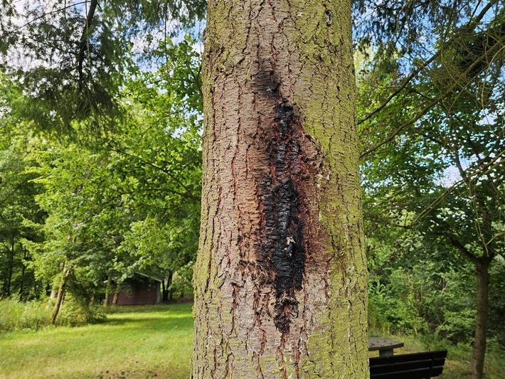 POL-PDMY: Sachbeschädigung durch Feuer Grillhütte Sankt Johann