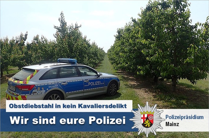 POL-PPMZ: Klein-Winternheim - Jugendliche bei Obstdiebstahl erwischt