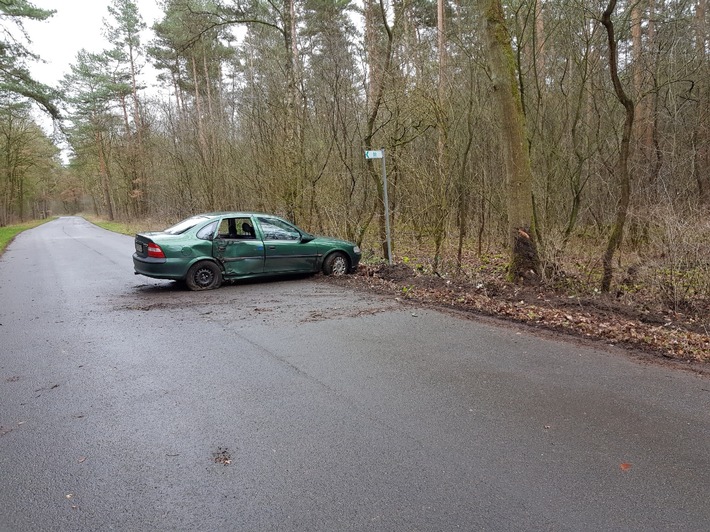 POL-VER: Pkw prallt gegen Baum