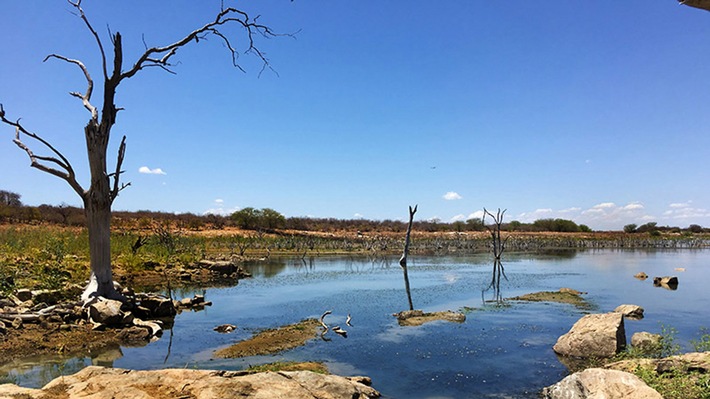 &quot;Brasilien - ein Land trocknet aus&quot;: &quot;planet e.&quot; im ZDF über die Wasserkrise im Olympia-Gastgeberland (FOTO)