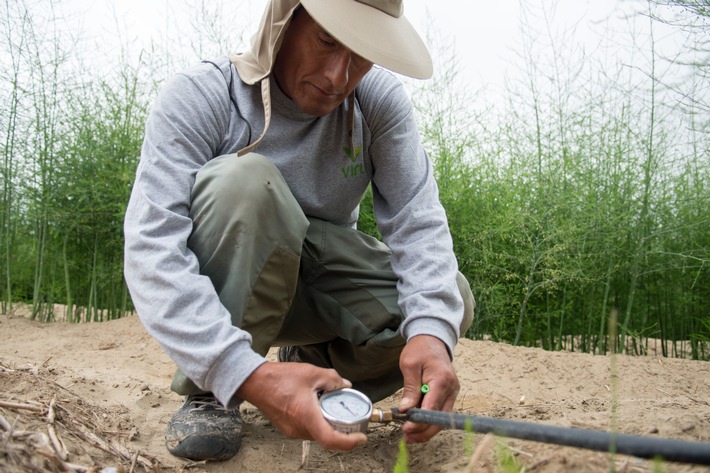 DEG: 10,9 Mio. EUR Darlehen für Gemüse- und Obstproduzenten aus Peru