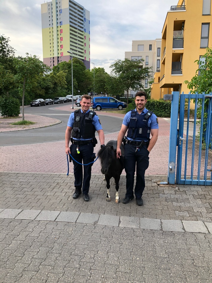 POL-PPMZ: Tierischer Besuch bei der Polizei des Mainzer Lerchenbergs