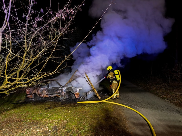 FW-DT: Pkw-Brand in Pivitsheide