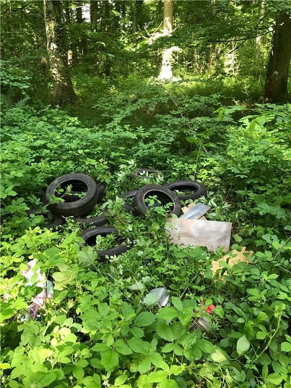 POL-PDMY: Illegale Müllablagerung in Kürrenberg
