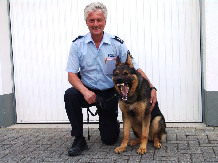 POL-REK: Sein Name ist Cooper, Polizeidiensthund Cooper! - Rhein-Erft-Kreis