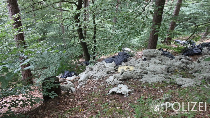 POL-PDNW: Müllablagerung im Wald bei Lindenberg - Zeugenaufruf