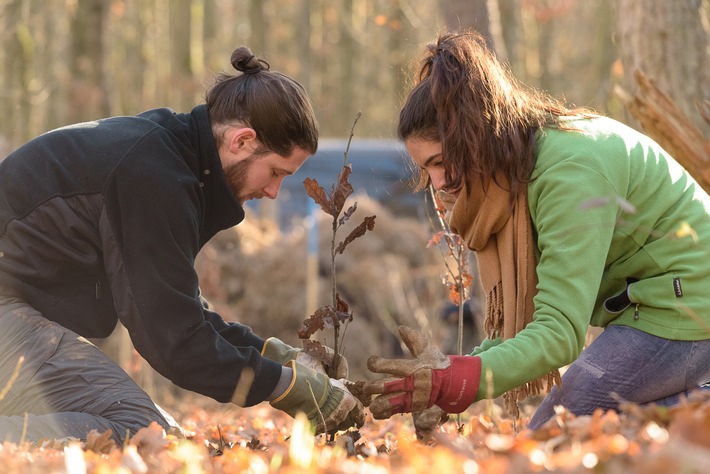 100 Freiwillige mit dem Bergwaldprojekt e.V. in Heidegarten im Einsatz für den naturnahen Waldumbau