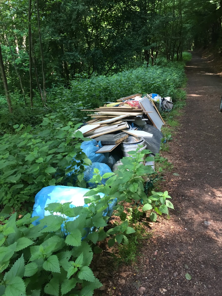 POL-PDNW: (Bad Dürkheim) - illegal Müll im Wald entsorgt