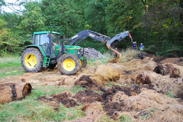 FW-MK: Feuer am Waldrand in Rheinen