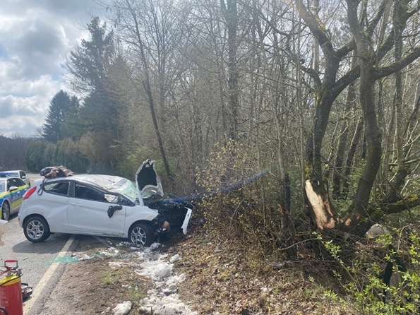 POL-PDPS: Lemberg - Tödlicher Verkehrsunfall