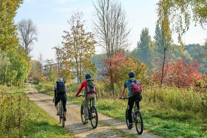 Radfahrer auf dem Isarradweg_Dingolfing-Landau @Tourismusverband Ostbayern_Gerhard Illig.jpg