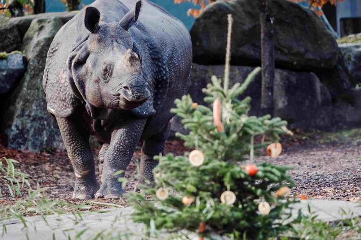"Mach-einen-Zoobesuch-Tag" weckt Abenteuerlust nach den Feiertagen / Verband der Zoologischen Gärten lädt zum Zoobesuch auch im Winter