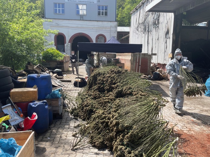 POL-SI: Polizei baut illegale Cannabisplantage aus Brandobjekt ab -#polsiwi