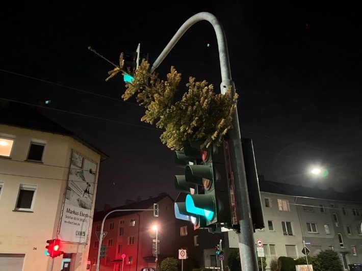 POL-BO: O Tannebaum, o Tannebaum?!