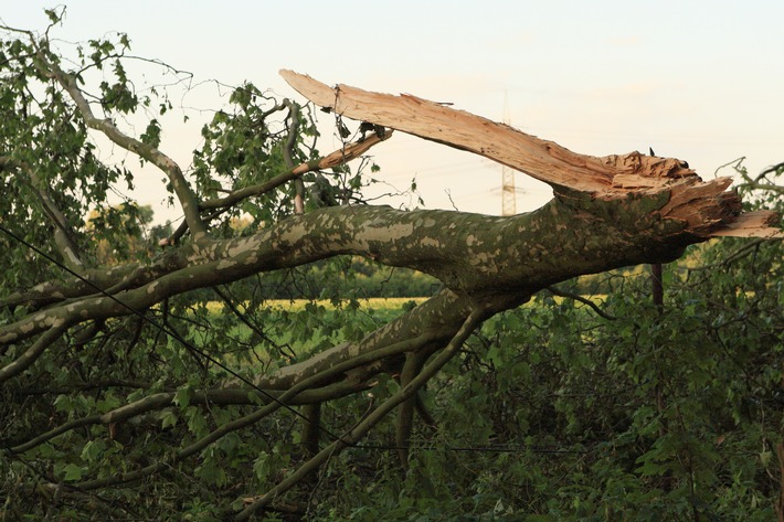 FW-BOT: Schlussmeldung Unwetter &quot;Zeynep&quot;