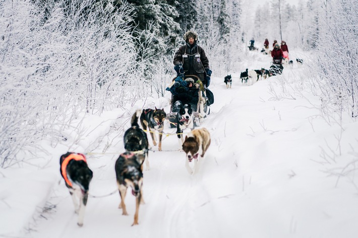 Mit Huskies unterwegs: 3sat zeigt den Schweizer Dreiteiler &quot;Abenteuer Lappland&quot;