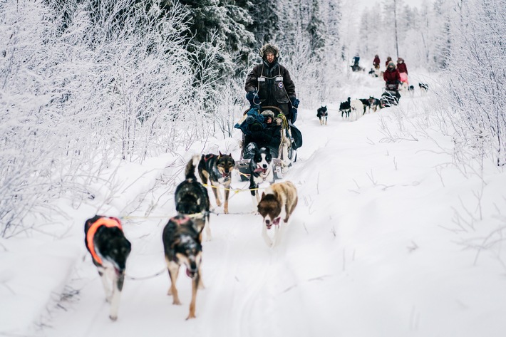 Mit Huskies unterwegs: 3sat zeigt den Schweizer Dreiteiler "Abenteuer Lappland"