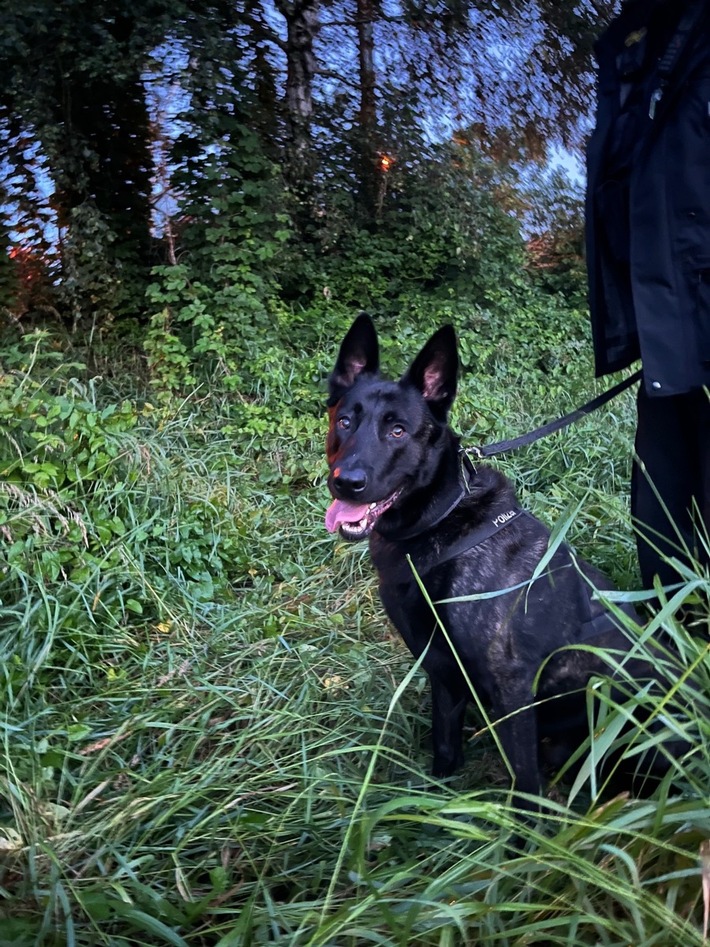 POL-WES: Duisburg - Overbruch: Polizeihund Cooper findet mutmaßlichen Einbrecher
