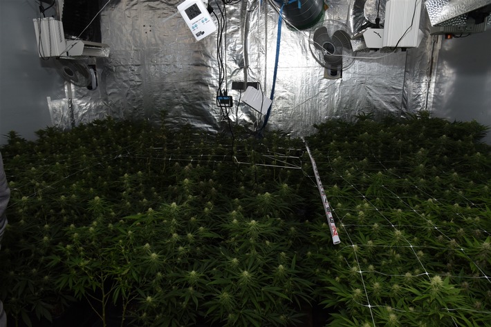 POL-HSK: Stromausfall führt zu Cannabis-Plantage