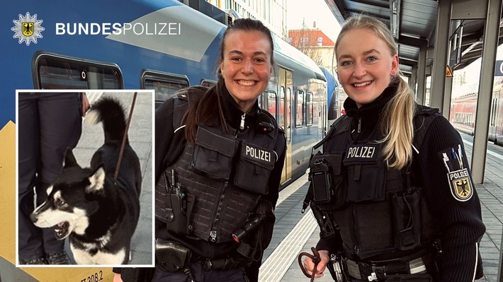Bundespolizeidirektion München: Einsatz wegen eines Fundhundes / Zusammenführung geglückt