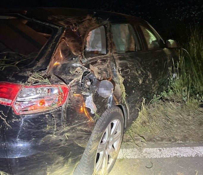 POL-BI: Betrunkener Autofahrer fliegt aus der Kurve