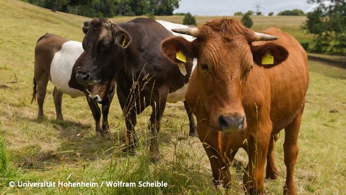 Smart Farming für alle: Wie kleine Betriebe groß denken können