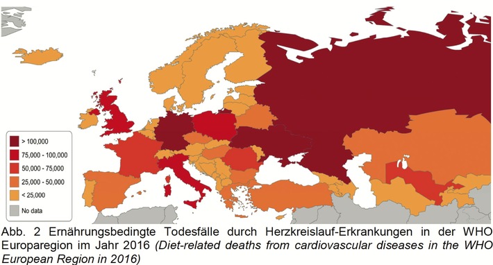 Herz-Kreislauf-Erkrankungen und Ernährung in Europa: Jeder zweite bis dritte Todesfall vermeidbar