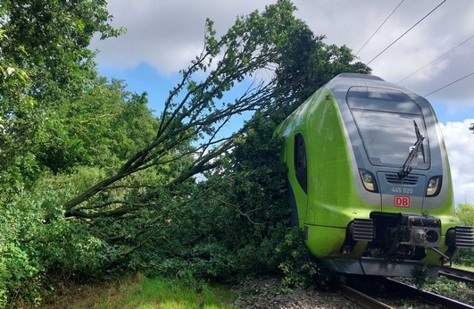 BPOL-FL: Baum fällt auf Oberleitung - Zug kann nicht rechtzeitig bremsen