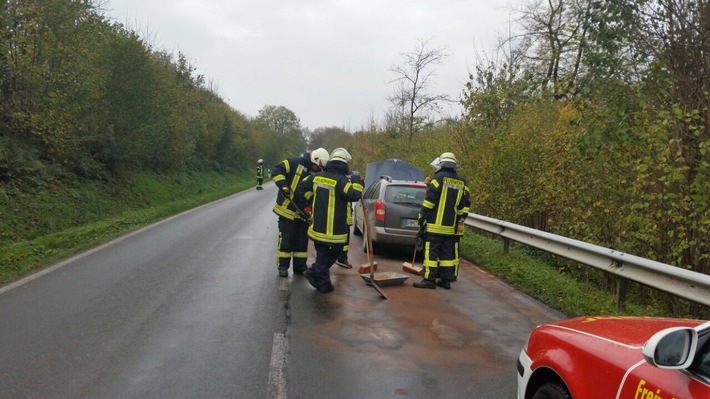 FW Lügde: Feuer 1 / gemeldeter PKW Brand