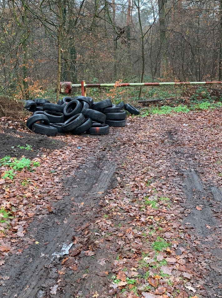 POL-MA: Schwetzingen/Rhein-Neckar-Kreis: Unbekannter entsorgt Altreifen im Wald - Polizei sucht Zeugen