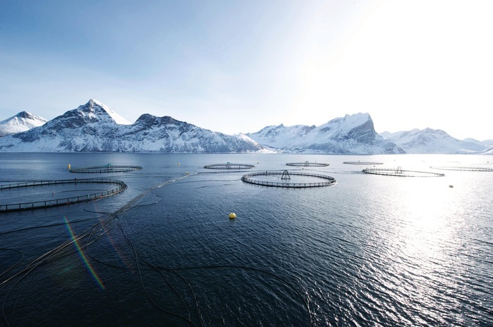 Aquakultur in Norwegen

Verwendung:
- ausschließlich zur redaktionellen Nutzung
- nur bei Nennung der Quelle und des Urhebers
- nur in diesem Kontext / Weiterer Text über ots und www.presseportal.de/nr/158441 / Die Verwendung dieses Bildes ist für redaktionelle Zwecke unter Beachtung ggf. genannter Nutzungsbedingungen honorarfrei. Veröffentlichung bitte mit Bildrechte-Hinweis.