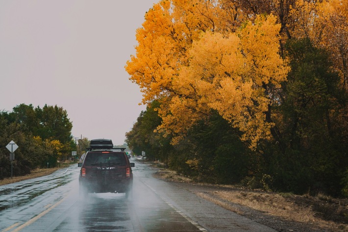 Die beliebtesten Automarken und Modelle für einen Autoverkauf im Herbst – Jetzt ist der richtige Zeitpunkt, Ihr Auto in der Schweiz zu verkaufen!