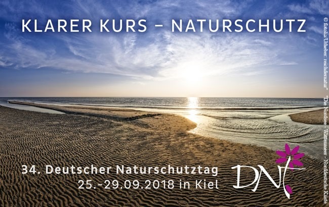 Bild zum Beitrag: Küsten- und Meeresschutz ist Topthema auf 34. Deutschen Naturschutztag (DNT): Programm zu Deutschlands größtem Naturschutzkongress im September in Kiel veröffentlicht 