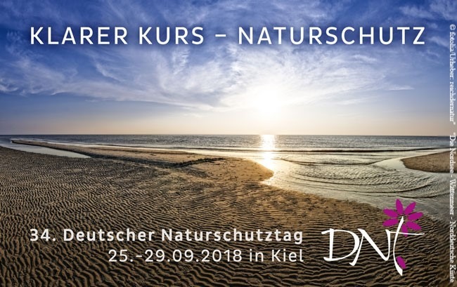 Küsten- und Meeresschutz ist Topthema auf 34. Deutschen Naturschutztag (DNT): Programm zu Deutschlands größtem Naturschutzkongress im September in Kiel veröffentlicht