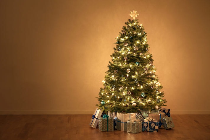 Online Weihnachtsbäume kaufen: Preis-Leistungs-Vergleich