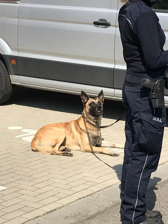 HZA-AC: Zoll findet Marihuana für über 50.000 Euro / Rauschgiftspürhund "Sunny" beweist gute Nase