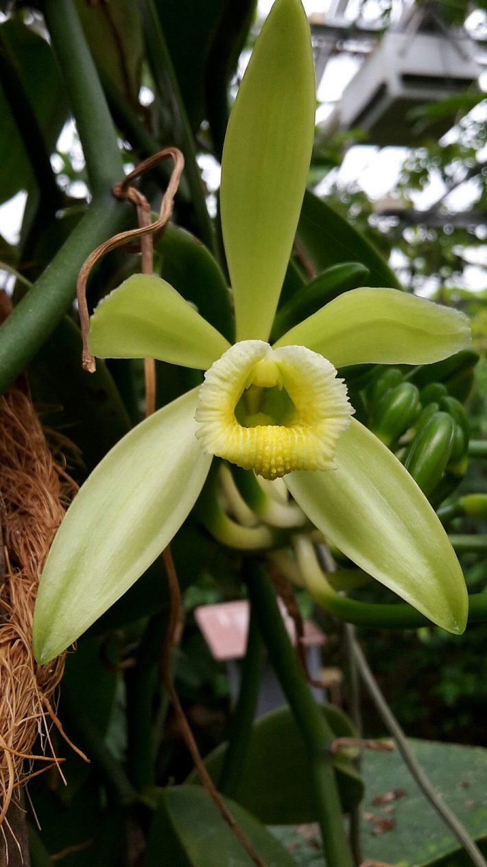 Wissenschaft als Feierabend-Snack: Vortrags-Reihe im UNI:Lokal