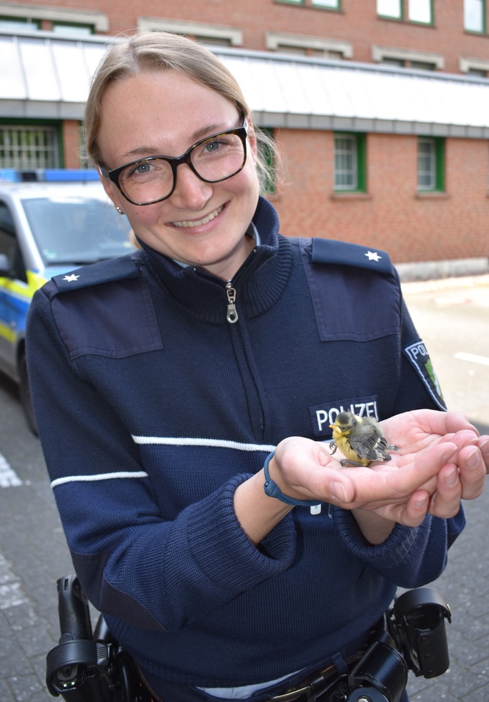 POL-PB: Jungvogel auf der Straße gefunden