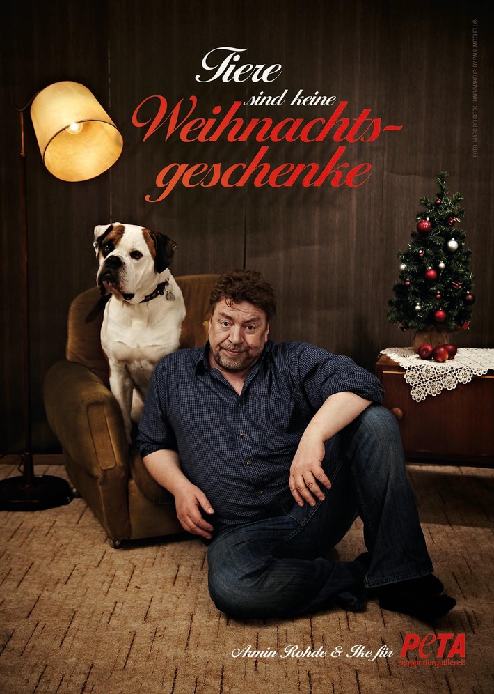 &quot;Tiere sind keine Weihnachtsgeschenke&quot;: Armin Rohde und sein Hund Ike für PETA / Schauspieler hat Bulldogge aus dem Tierheim adoptiert