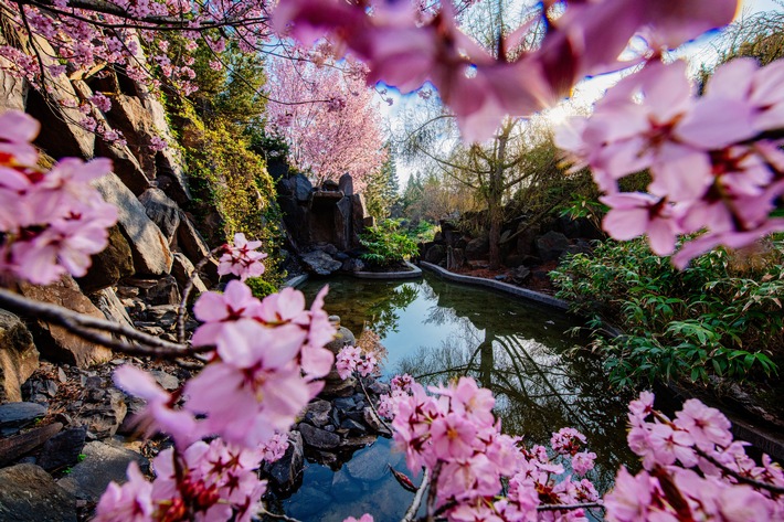 JapanischerGarten_egapark_2.JPG