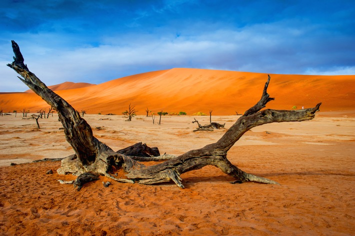 Mit der LUMIX Photo Adventure Namibia ins südliche Afrika / Panasonic bringt Fotografen zu den Foto-Hotspots Namibias