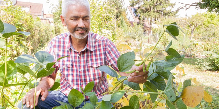1000 Gärten Sojaexperiment ruft zum Mitmachen auf