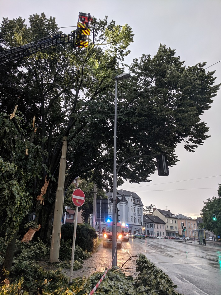 FW-MH: Baum stürzt auf Straße