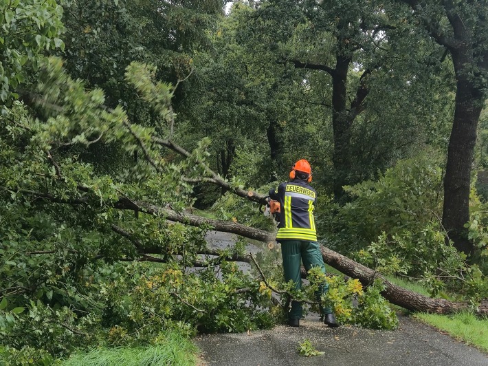 FW-AUR: Baum stürzt auf Telefonleitung und Fahrbahn