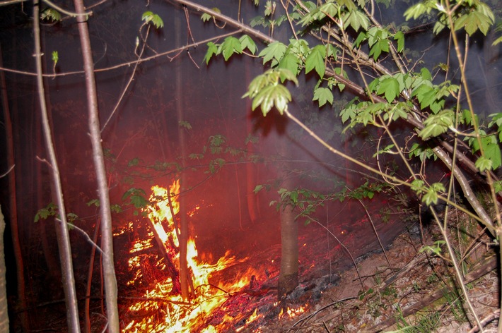 KFV-CW: Waldbrand bei Schömberg OT Bieselsberg. Polizeihubschrauber unterstützt Feuerwehr.